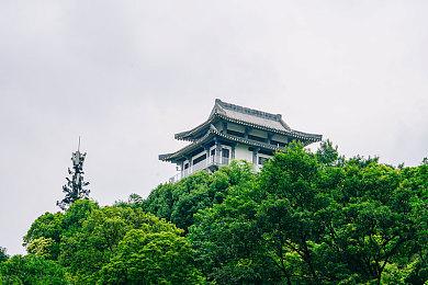 Epic喜加一：《精灵与老鼠》免费领取